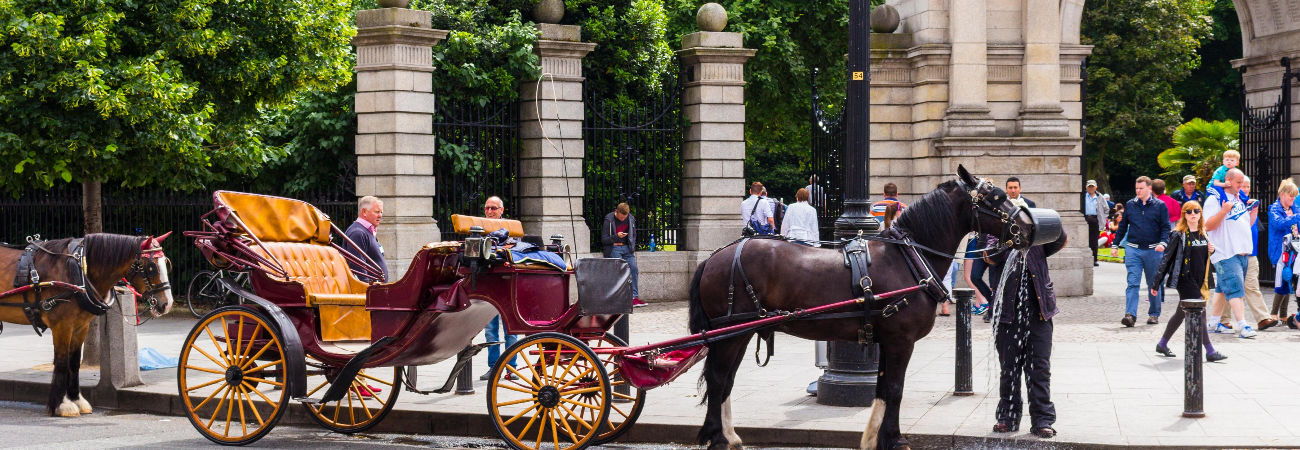 Horse and Carriage Tour of Dublin
