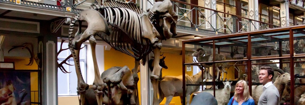 National Museum of Ireland - Natural History 