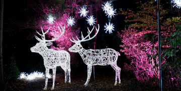 Christmas Events