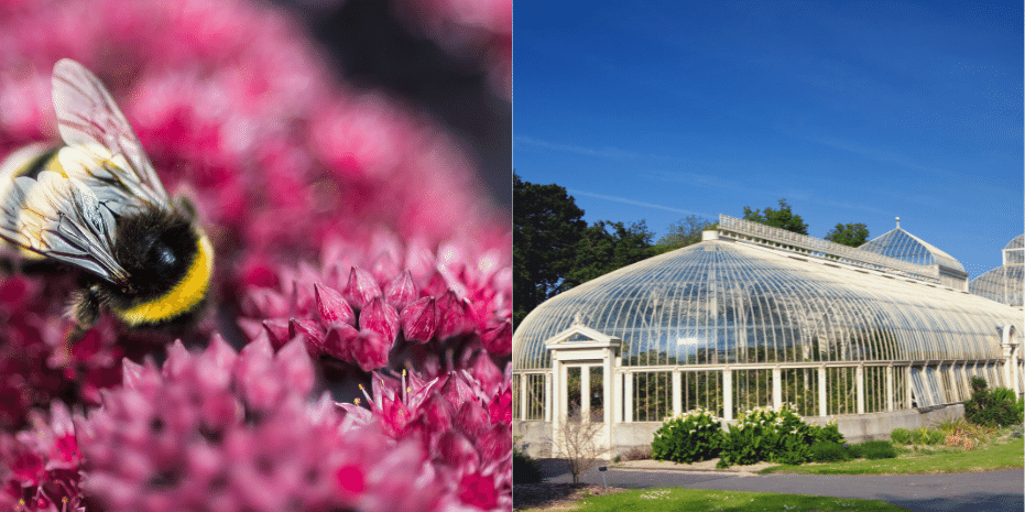 Best of Dublin National Botanic Gardens Glasnevin