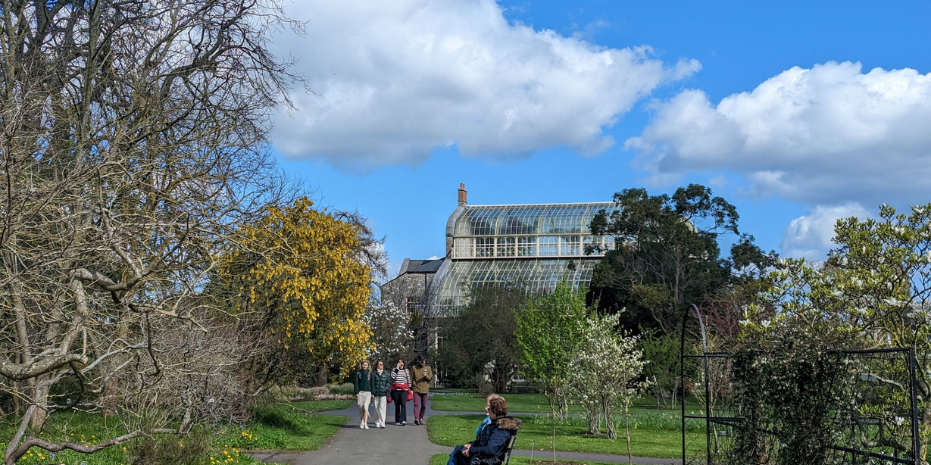 View of beautiful flowers, trees and blue skies