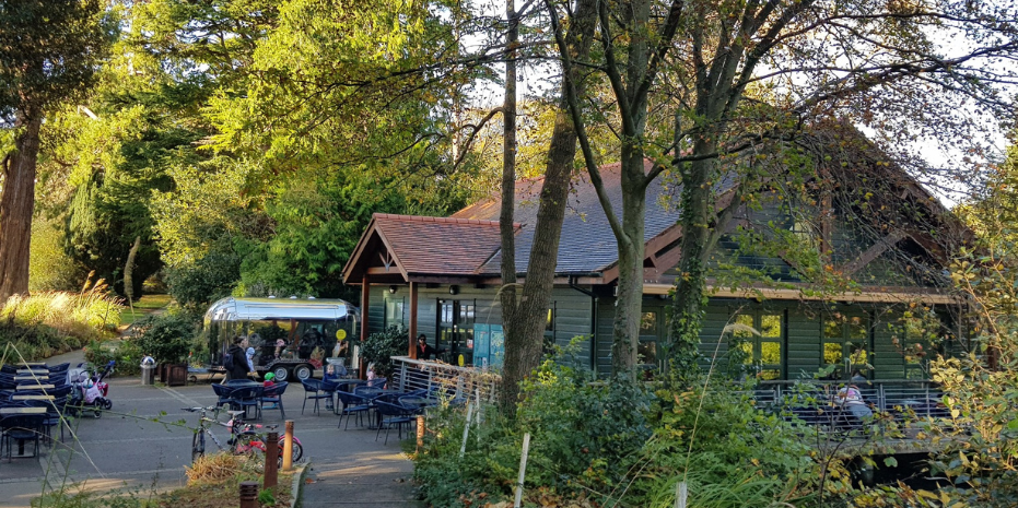 View of trees and local coffee shop at farmleigh