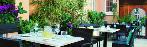 Outdoor Dining Garden Terrace