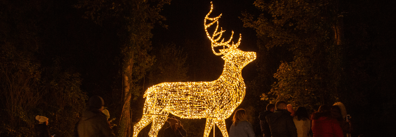 Wonder Lights at Malahide Castle 