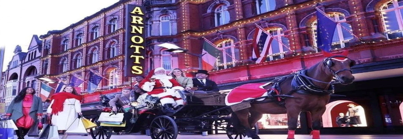 Dublin City Christmas Lights Carriage Tour