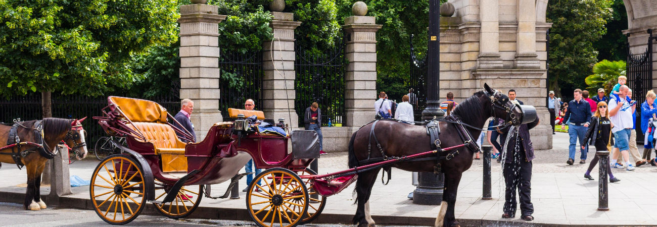 horse tours dublin