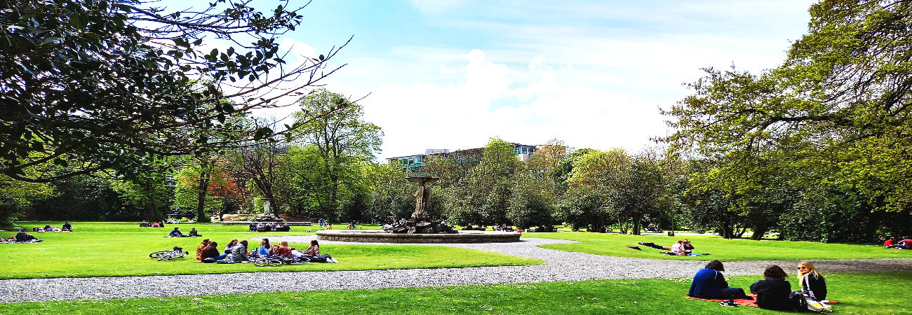 Iveagh Gardens