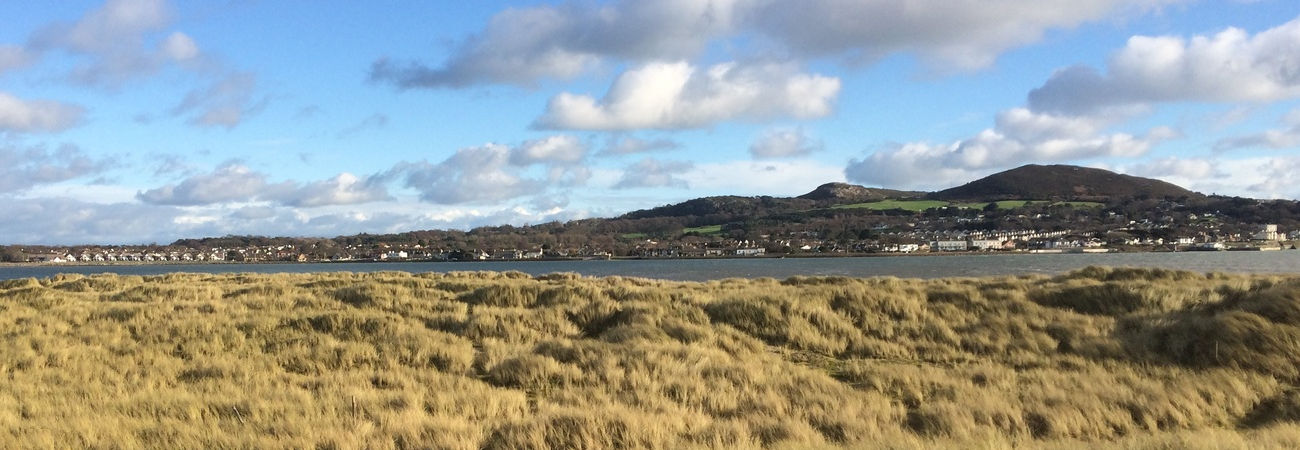 North Bull Island - Nature Reserve 