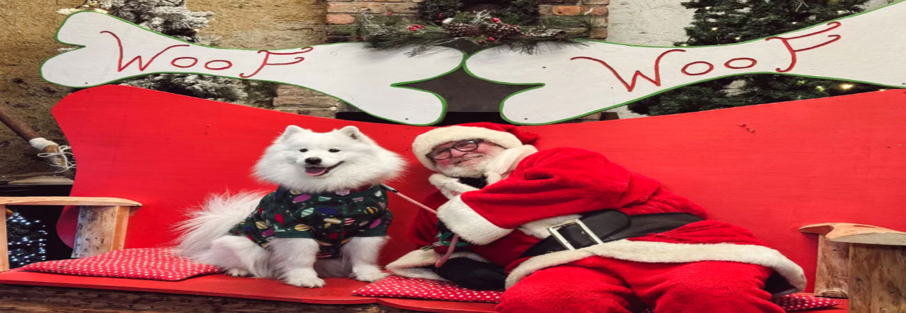 Santa Paws at Newbridge House & Farm